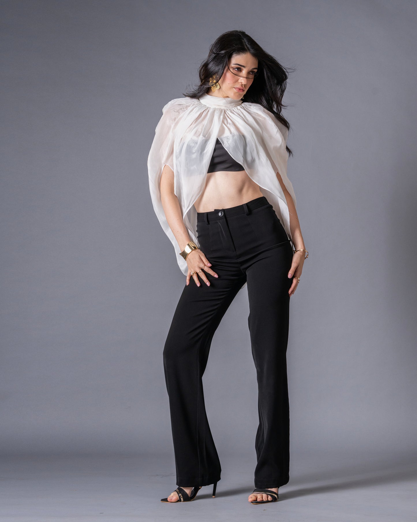 Veil Glass Organza Sheer Top with Knit Bralette